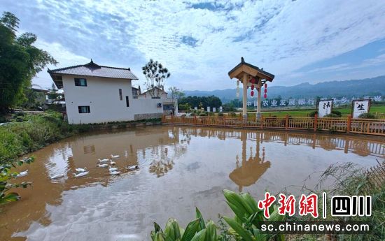 長山鎮五通壩稻魚園區。榮縣融媒 供圖 長山鎮五通壩稻魚園區。榮縣融媒 供圖