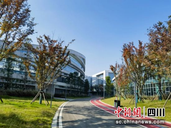 成都國盾融合創新中心。郫都區融媒體中心 供圖 成都國盾融合創新中心。郫都區融媒體中心 供圖