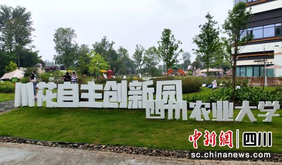 川花自主創(chuàng)新園。呂楊攝 川花自主創(chuàng)新園。呂楊攝