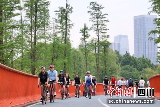 中國、新加坡三人籃球女隊員體驗成都“安逸”生活。(成都體育記者協會供圖) 中國、新加坡三人籃球女隊員體驗成都“安逸”生活。(成都體育記者協會供圖)