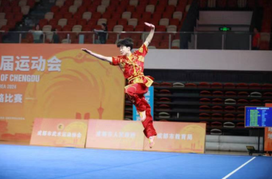 成都市運會武術(shù)比賽 成都市運會武術(shù)比賽