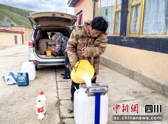 收購(gòu)牦牛鮮奶。壤塘縣委宣傳部供圖 收購(gòu)牦牛鮮奶。壤塘縣委宣傳部供圖