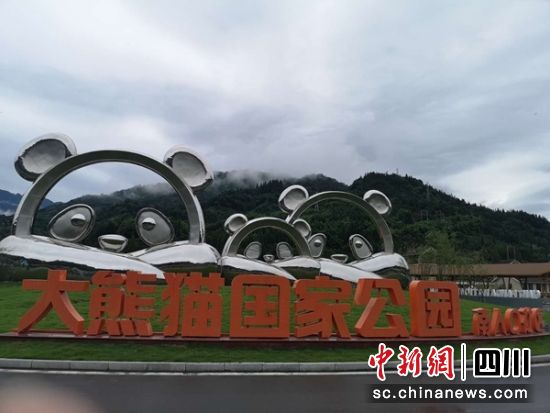 大熊貓國家公園。(四川省旅游協會文體分會供圖) 大熊貓國家公園。(四川省旅游協會文體分會供圖)