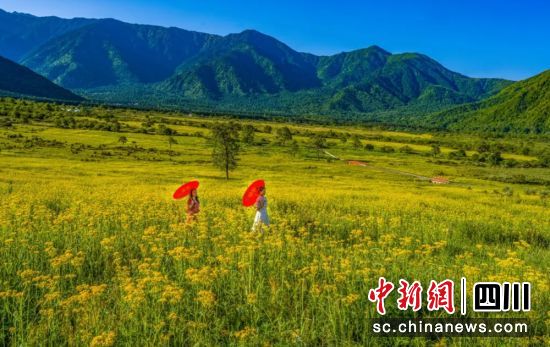 孟獲城景區花海。周萬龍 攝 孟獲城景區花海。周萬龍 攝