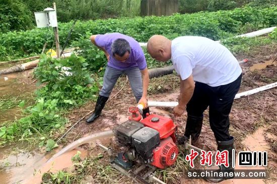 樂山井研縣石家橋村3組群眾正在開展排澇搶險作業。樂山應急供圖 樂山井研縣石家橋村3組群眾正在開展排澇搶險作業。樂山應急供圖
