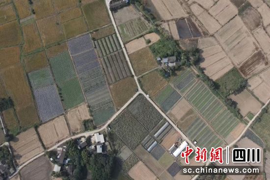 圖為成都東部新區一處耕地。成都東部新區 供圖 圖為成都東部新區一處耕地。成都東部新區 供圖
