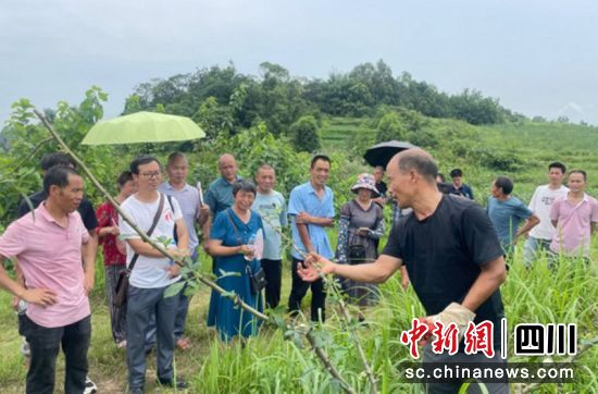 培訓現場。富順融媒 供圖 培訓現場。富順融媒 供圖