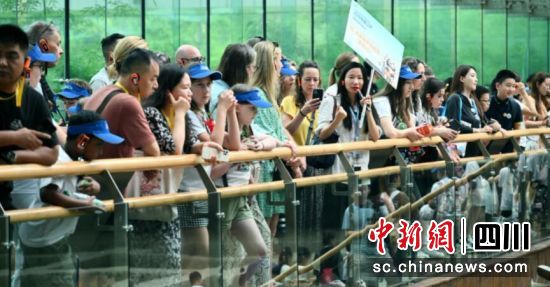 音樂文化之旅活動現場。成都市廣播電視臺供圖 音樂文化之旅活動現場。成都市廣播電視臺供圖