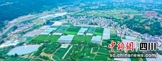 宜居宜業(yè)的天雄村一角。中共廣元市昭化區(qū)委宣傳部 供圖 宜居宜業(yè)的天雄村一角。中共廣元市昭化區(qū)委宣傳部 供圖