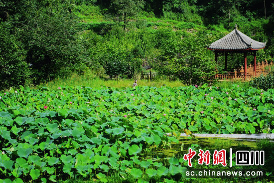 羅圈巖村嶺上盛境景區(qū)一角。劉旭 攝 羅圈巖村嶺上盛境景區(qū)一角。劉旭 攝