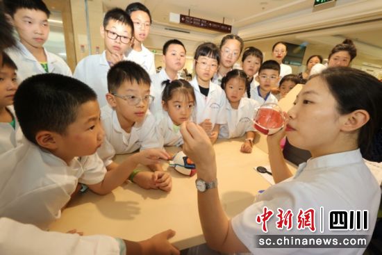 孩子們了解眼球結構 。李太輝 攝 孩子們了解眼球結構 。李太輝 攝