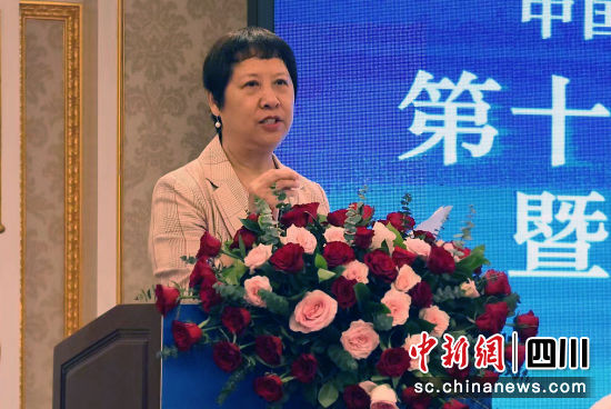 中國社會工作教育協會會長馬鳳芝教授在論壇上致辭。王志華 攝 中國社會工作教育協會會長馬鳳芝教授在論壇上致辭。王志華 攝
