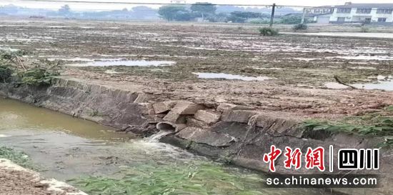 破損的過水涵洞。 羅江區金山鎮供圖 破損的過水涵洞。 羅江區金山鎮供圖