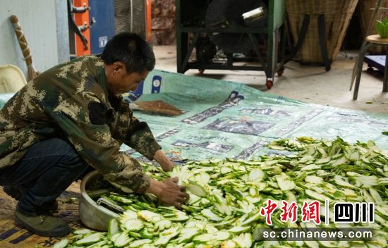“佛手柑”鮮果切片。石棉融媒 供圖 “佛手柑”鮮果切片。石棉融媒 供圖