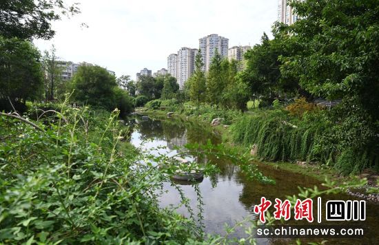 天宇濕地公園。梁人之 供圖 天宇濕地公園。梁人之 供圖