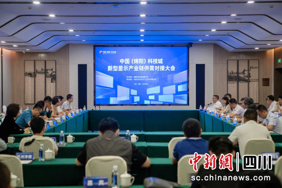 對接會現場。 綿陽科技城黨工委供圖 對接會現場。 綿陽科技城黨工委供圖