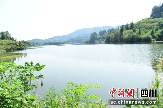 營山縣金雞溝水庫一角。彭杰 攝 營山縣金雞溝水庫一角。彭杰 攝