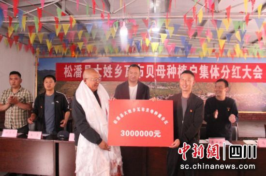 分紅現場。松潘縣委組織部供圖 分紅現場。松潘縣委組織部供圖