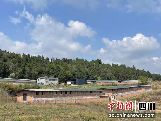 簡陽市沐風養殖專業合作社。 簡陽融媒體中心 供圖 簡陽市沐風養殖專業合作社。 簡陽融媒體中心 供圖