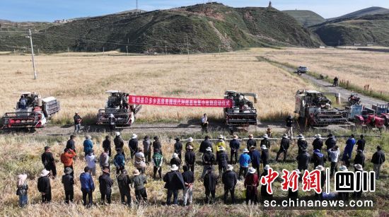 青稞收割啟動(dòng)儀式。王廷妮攝 青稞收割啟動(dòng)儀式。王廷妮攝