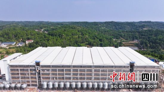 嶄新的豬舍樓房。潘政吉 攝 嶄新的豬舍樓房。潘政吉 攝