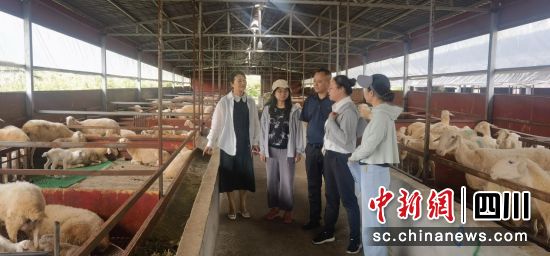 專家團隊走進養(yǎng)殖場指導。田建國攝 專家團隊走進養(yǎng)殖場指導。田建國攝