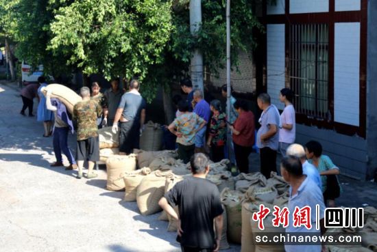 高粱集中回收點,村民們排隊等候,訂單高粱收購工作有序開展。謝汶萍 攝 高粱集中回收點,村民們排隊等候,訂單高粱收購工作有序開展。謝汶萍 攝