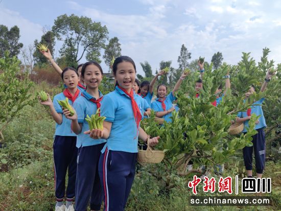 瀘州市中小學生勞動實踐基地里的“開學第一課”。合江縣融媒體中心供圖 瀘州市中小學生勞動實踐基地里的“開學第一課”。合江縣融媒體中心供圖