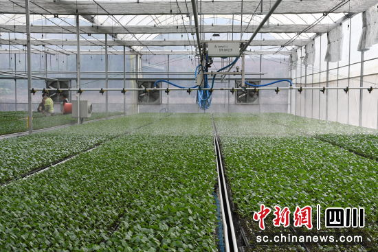 威遠高科技工廠現場。徐靜 攝 威遠高科技工廠現場。徐靜 攝