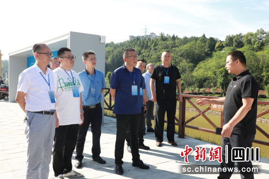 游仙區(qū)政協(xié)助力芙蓉溪流域生態(tài)環(huán)境改善。 游仙區(qū)政協(xié)供圖 游仙區(qū)政協(xié)助力芙蓉溪流域生態(tài)環(huán)境改善。 游仙區(qū)政協(xié)供圖
