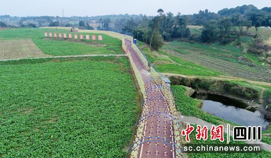 成佳大頭菜農業主題公園。貢井融媒 供圖 成佳大頭菜農業主題公園。貢井融媒 供圖