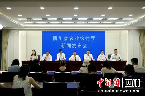 四川省農業農村廳19日召開新聞發布會,介紹四川第二屆“村BA”總決賽有關情況。陳選斌 攝 四川省農業農村廳19日召開新聞發布會,介紹四川第二屆“村BA”總決賽有關情況。陳選斌 攝
