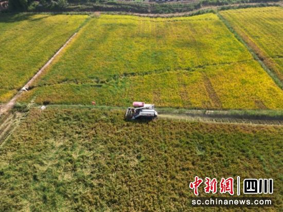 田間一片豐收景象。中鐵科研院 供圖 田間一片豐收景象。中鐵科研院 供圖