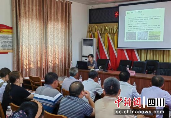 正在給大家講解。伍歐 攝 正在給大家講解。伍歐 攝