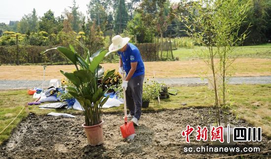 一位參賽者正在進行園藝景觀創意設計。郫都區委宣傳部 供圖 一位參賽者正在進行園藝景觀創意設計。郫都區委宣傳部 供圖