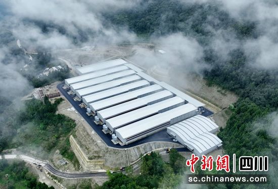 蛋雞養殖基地。 平武縣委宣傳部供圖 蛋雞養殖基地。 平武縣委宣傳部供圖