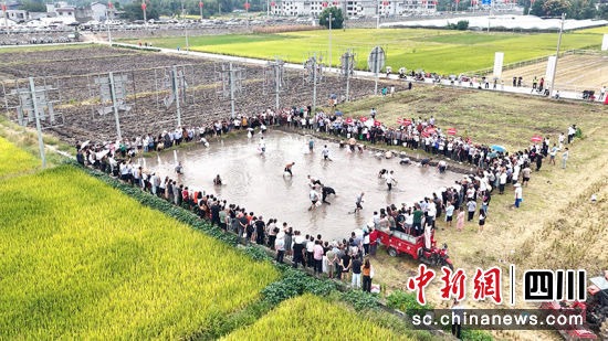 農民趣味運動會。 綿竹市融媒體中心供圖 農民趣味運動會。 綿竹市融媒體中心供圖