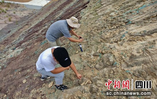 勘查現場。自貢文旅 供圖 勘查現場。自貢文旅 供圖