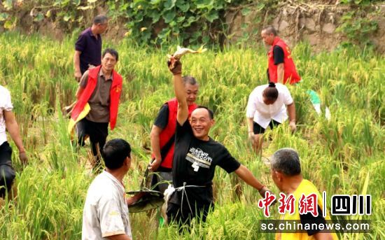收獲戰(zhàn)利品。 羅景萍 攝 收獲戰(zhàn)利品。 羅景萍 攝