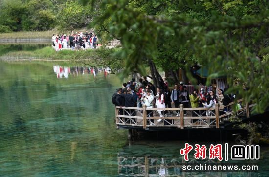九寨溝景區(qū)美景。九寨溝縣委宣傳部供圖 九寨溝景區(qū)美景。九寨溝縣委宣傳部供圖