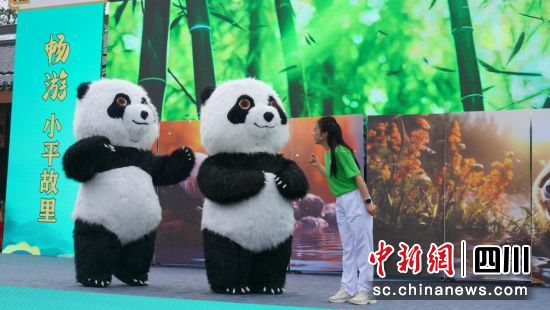 活動現場。華鎣山大熊貓苑 供圖 活動現場。華鎣山大熊貓苑 供圖