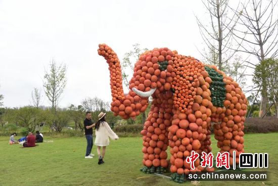 國慶期間,東安湖上新南瓜藝術(shù)裝飾。成都經(jīng)開文旅發(fā)展有限公司 供圖 國慶期間,東安湖上新南瓜藝術(shù)裝飾。成都經(jīng)開文旅發(fā)展有限公司 供圖