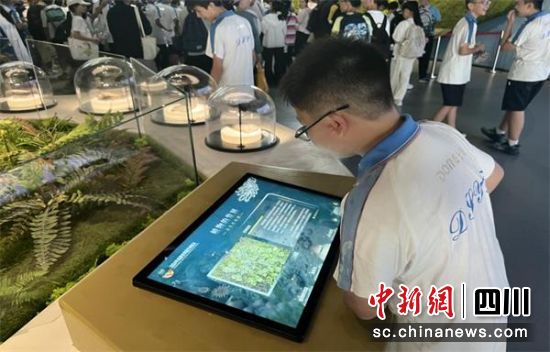 研學現場。東升一中 供圖 研學現場。東升一中 供圖