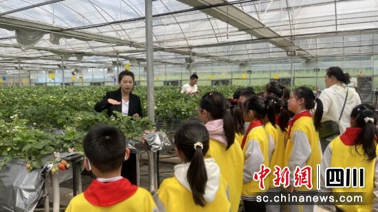 陳琳建立的產學研基地。賴俊全 攝 陳琳建立的產學研基地。賴俊全 攝