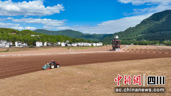 10月14日,白衣鎮優質糧油基地,農機手駕駛著油菜精量播種機來回穿梭播種油菜。中共平昌縣委宣傳部 供圖 10月14日,白衣鎮優質糧油基地,農機手駕駛著油菜精量播種機來回穿梭播種油菜。中共平昌縣委宣傳部 供圖