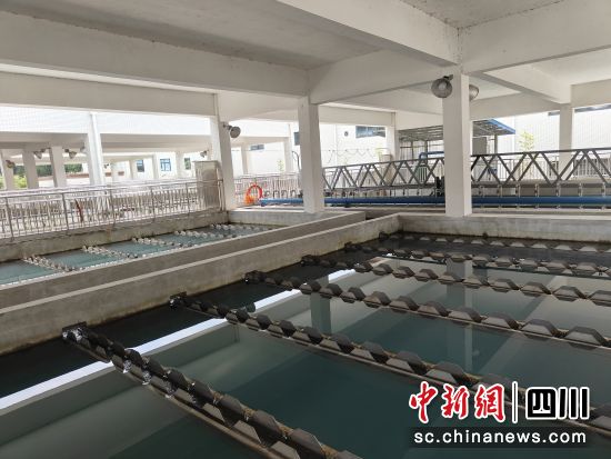 網格絮凝池對水質進行沉淀處理。 安州區委宣傳部供圖 網格絮凝池對水質進行沉淀處理。 安州區委宣傳部供圖