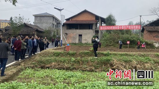 小春生產現場觀摩會。通川區融媒體中心供圖 小春生產現場觀摩會。通川區融媒體中心供圖