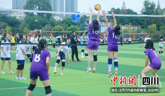 2024年成都市學運會排球比賽現場。 成都市體育局供圖 2024年成都市學運會排球比賽現場。 成都市體育局供圖