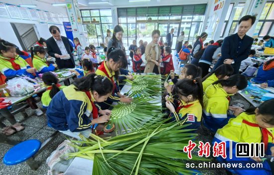 園藝組比賽現場。貢井教體 供圖 園藝組比賽現場。貢井教體 供圖