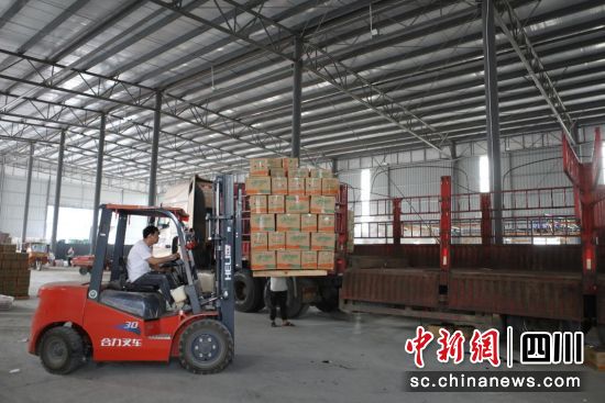 榴金時代農業公司加工廠內,工人們正在進行石榴裝車。郵儲銀行攀枝花分行供圖 榴金時代農業公司加工廠內,工人們正在進行石榴裝車。郵儲銀行攀枝花分行供圖